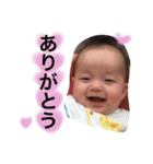 ハの字の眉のコロちゃん〜4ヶ月のご挨拶（個別スタンプ：1）
