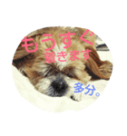 自分用すぎるスタンプ（個別スタンプ：1）