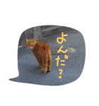 自分用すぎるスタンプ（個別スタンプ：7）