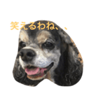 愛犬 りおん スタンプ（個別スタンプ：5）