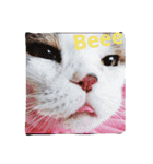 愛猫's（個別スタンプ：6）