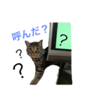 レオたんスタンプ（個別スタンプ：5）