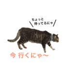 レオたんスタンプ（個別スタンプ：6）