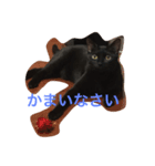 黒猫グリさん（個別スタンプ：2）