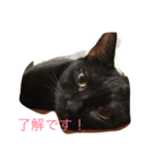 黒猫グリさん（個別スタンプ：7）