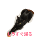 黒猫グリさん（個別スタンプ：8）