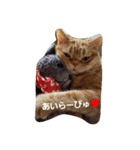 みるきー＆大福（個別スタンプ：1）