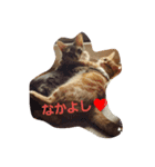 みるきー＆大福（個別スタンプ：3）