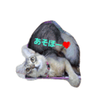 みるきー＆大福（個別スタンプ：4）