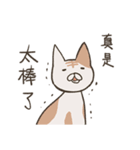old cat xiang nian ＆ white dog xiao bai2（個別スタンプ：6）