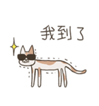 old cat xiang nian ＆ white dog xiao bai2（個別スタンプ：11）