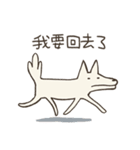 old cat xiang nian ＆ white dog xiao bai2（個別スタンプ：12）