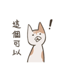 old cat xiang nian ＆ white dog xiao bai2（個別スタンプ：16）