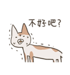 old cat xiang nian ＆ white dog xiao bai2（個別スタンプ：19）