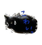ににゃん（個別スタンプ：1）