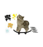 Fool ＆ Cute cat Mochi（個別スタンプ：6）