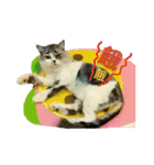 Fool ＆ Cute cat Mochi（個別スタンプ：18）