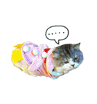 Fool ＆ Cute cat Mochi（個別スタンプ：26）