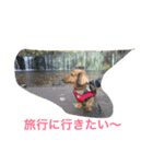 ダックス レン Ver.2（個別スタンプ：10）
