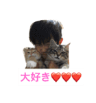 吉野家YOSHINOKE01（個別スタンプ：16）