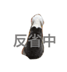 OEC（個別スタンプ：6）