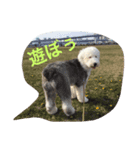 OEC（個別スタンプ：8）