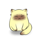 happy cat_（個別スタンプ：1）