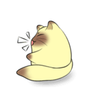 happy cat_（個別スタンプ：18）