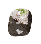 みーーー（個別スタンプ：5）