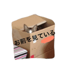 もみさまスタンプ 00（個別スタンプ：10）