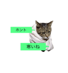 ゴチくんチロちゃん（個別スタンプ：21）