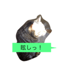 ゴチくんチロちゃん（個別スタンプ：23）