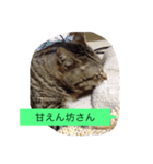 ゴチくんチロちゃん（個別スタンプ：25）