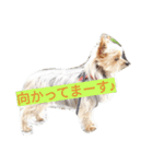 カイルくん（個別スタンプ：7）
