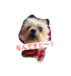 カイルくん（個別スタンプ：8）