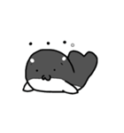 しゃざらしくん（個別スタンプ：1）