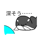 しゃざらしくん（個別スタンプ：11）