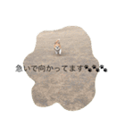 チワワのボン子（個別スタンプ：15）
