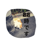 モップネコのスタンプ（個別スタンプ：5）