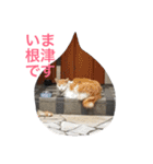 モップネコのスタンプ（個別スタンプ：9）