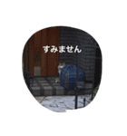 モップネコのスタンプ（個別スタンプ：13）