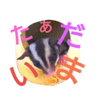 フクモモの日常で使えるスタンプ（個別スタンプ：2）