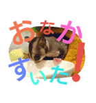 フクモモの日常で使えるスタンプ（個別スタンプ：3）