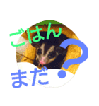 フクモモの日常で使えるスタンプ（個別スタンプ：4）