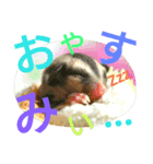フクモモの日常で使えるスタンプ（個別スタンプ：7）