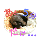 フクモモの日常で使えるスタンプ（個別スタンプ：8）