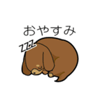 犬と猫と飼い主の日常スタンプ（個別スタンプ：3）