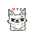 犬と猫と飼い主の日常スタンプ（個別スタンプ：10）