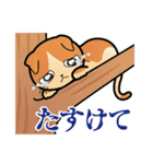 犬と猫と飼い主の日常スタンプ（個別スタンプ：17）