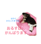 もりやこむぎ（個別スタンプ：2）